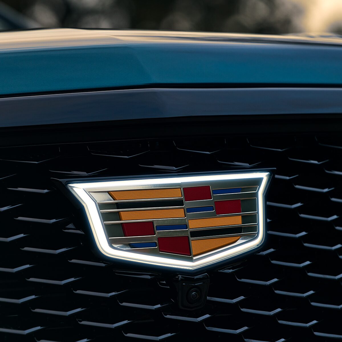 Escalade sports grille