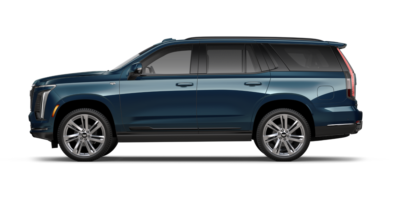 Esc Sport Platinum trim