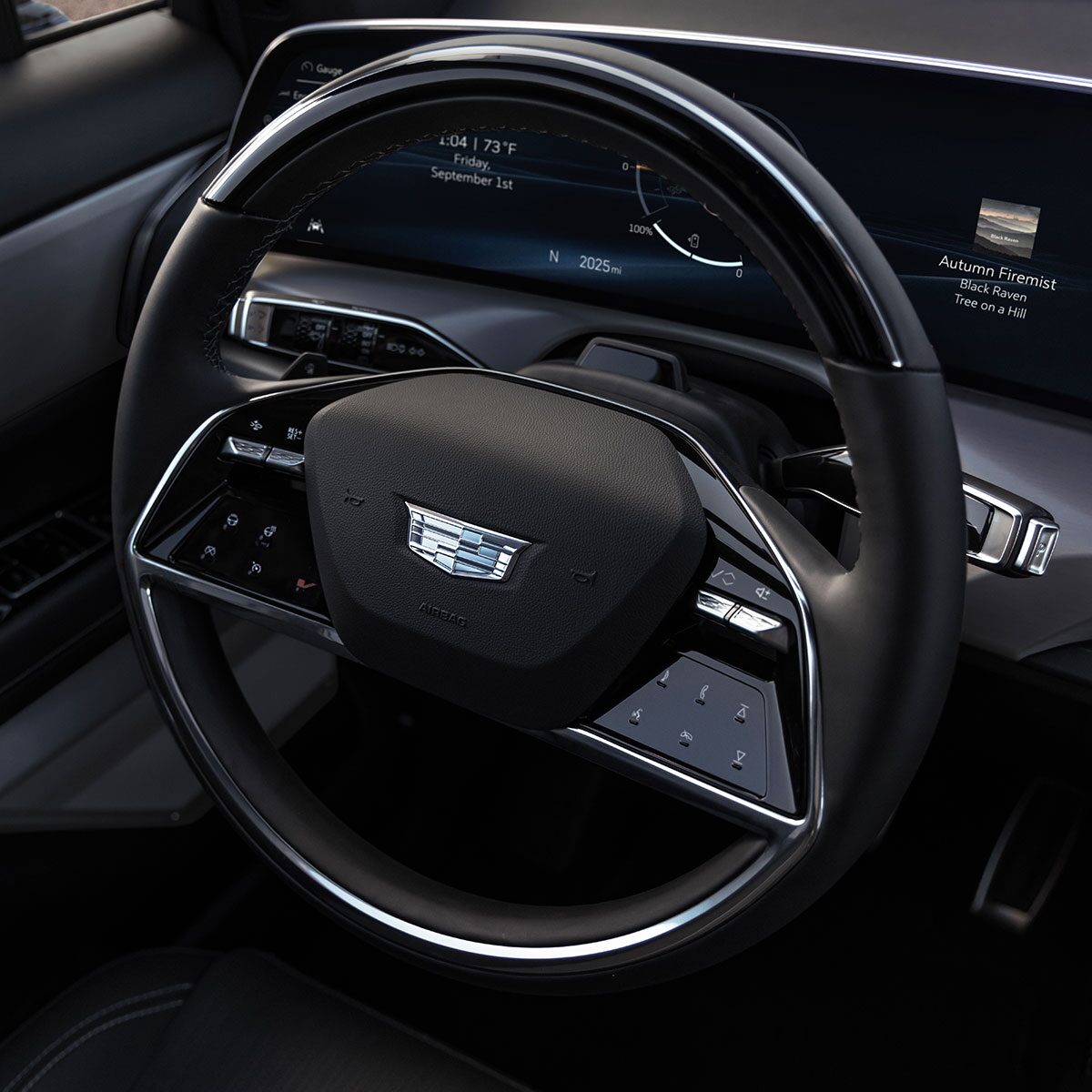 Vistiq interior steering wheel