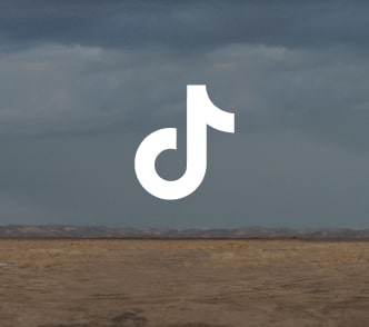 social-tiktok-desktop