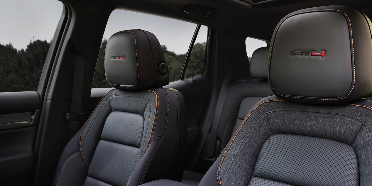 buckle-to-drive