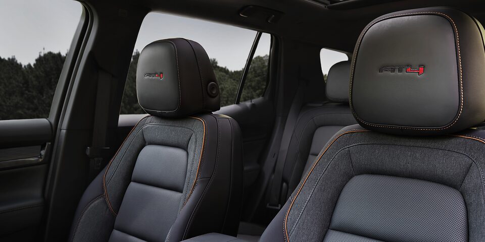 buckle-to-drive