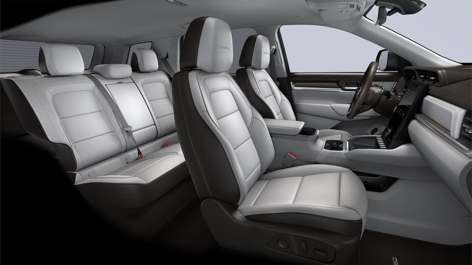 denali-light-ash-gray-very-dark-atmosphere-perforated-leather-appointed-1