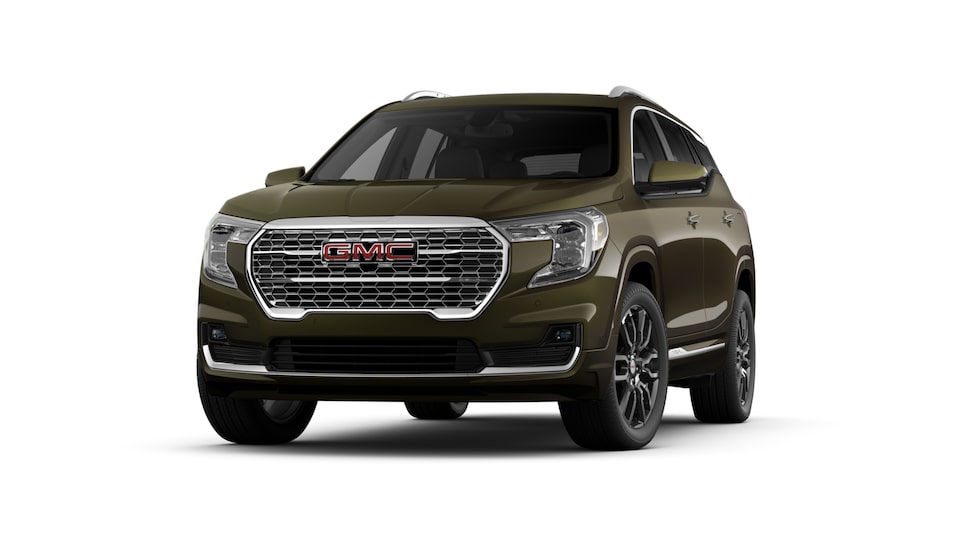 coloriser-terrain-denali-deep-bronze-metallic
